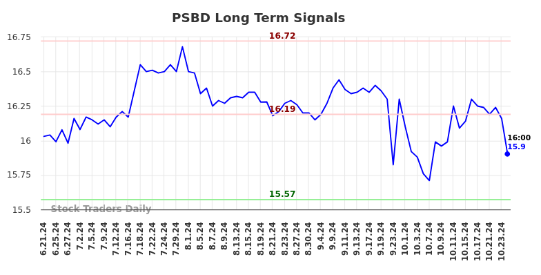 PSBD Long Term Analysis for December 20 2024