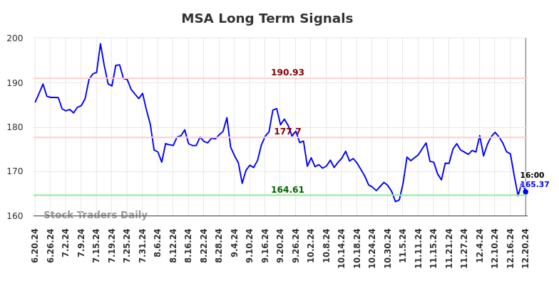 MSA Long Term Analysis for December 21 2024