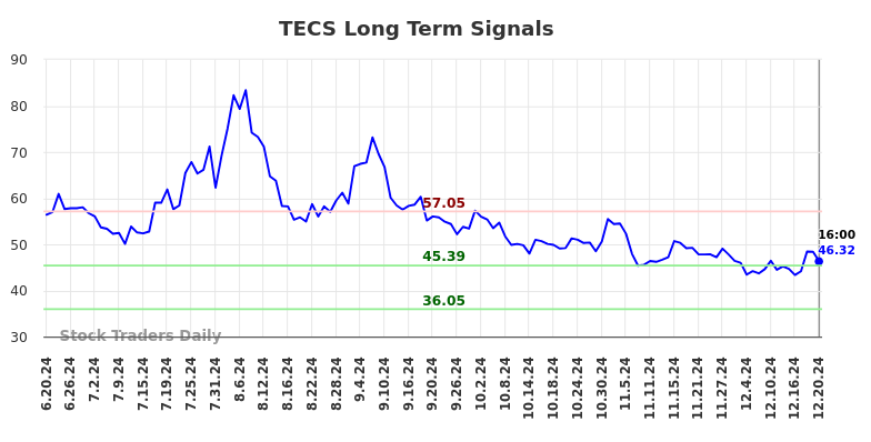 TECS Long Term Analysis for December 21 2024