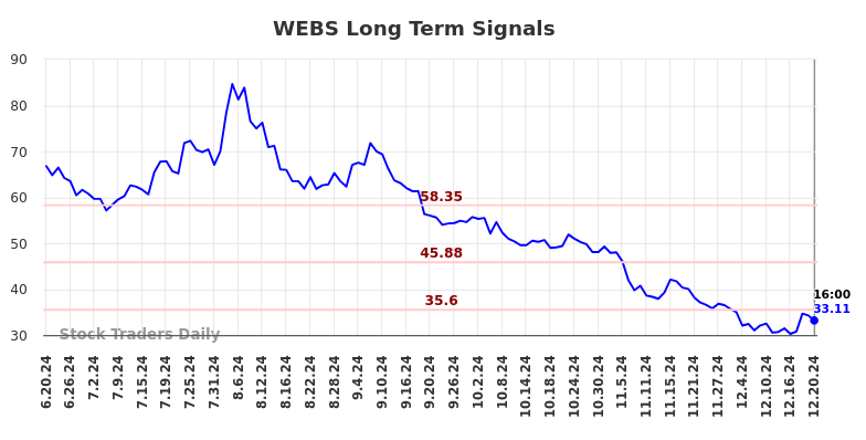 WEBS Long Term Analysis for December 21 2024