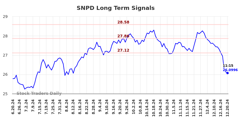 SNPD Long Term Analysis for December 21 2024