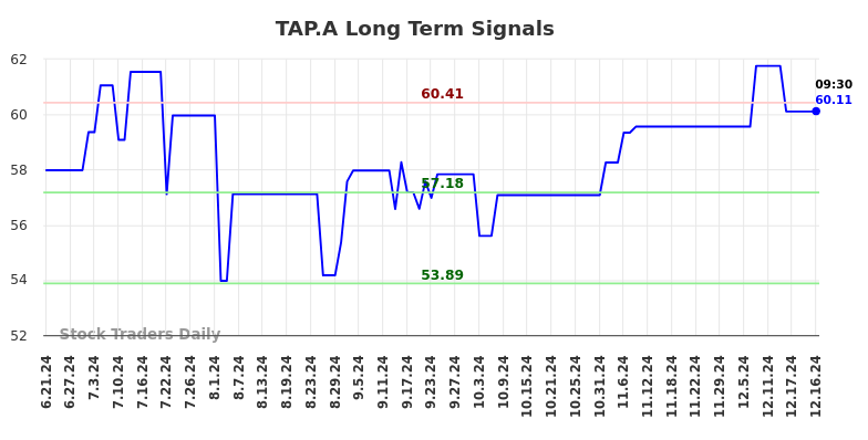 TAP.A Long Term Analysis for December 21 2024