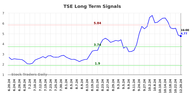TSE Long Term Analysis for December 21 2024