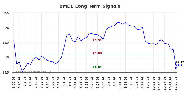 BMDL Long Term Analysis for December 21 2024