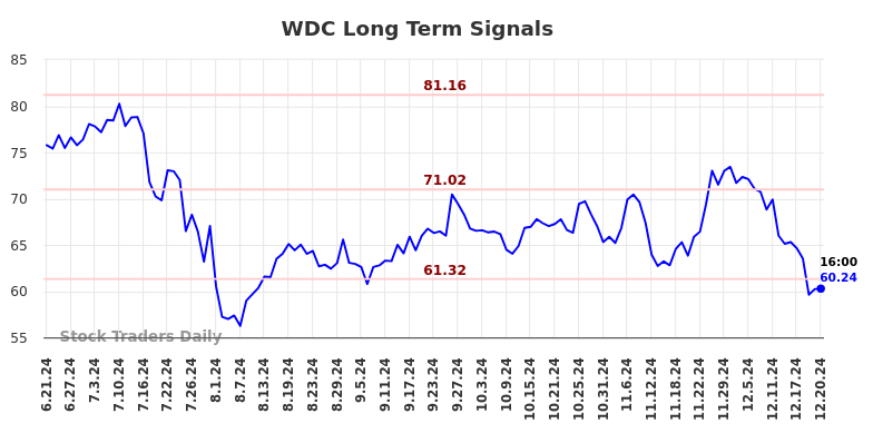 WDC Long Term Analysis for December 22 2024