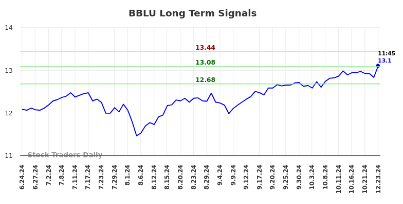 BBLU Long Term Analysis for December 23 2024