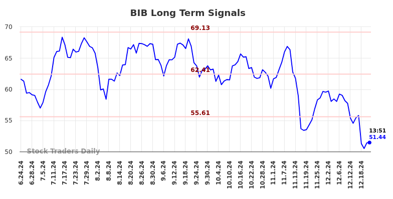 BIB Long Term Analysis for December 23 2024