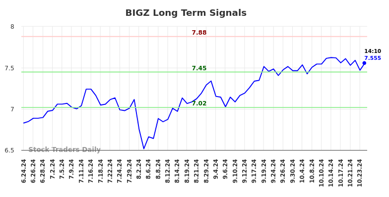 BIGZ Long Term Analysis for December 23 2024