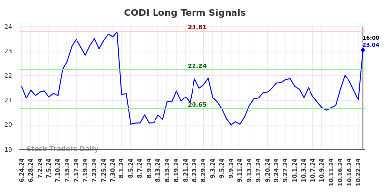 CODI Long Term Analysis for December 24 2024