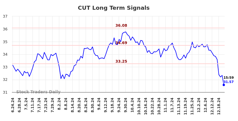 CUT Long Term Analysis for December 24 2024