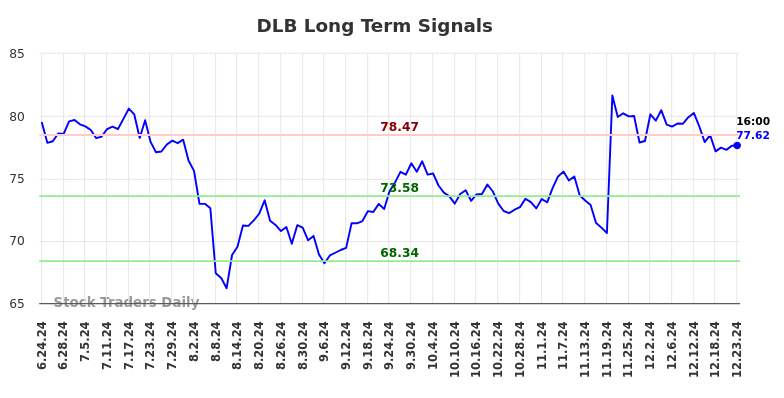 DLB Long Term Analysis for December 24 2024