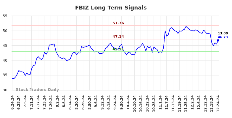 FBIZ Long Term Analysis for December 24 2024