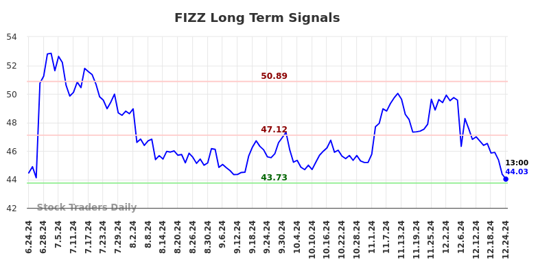 FIZZ Long Term Analysis for December 24 2024