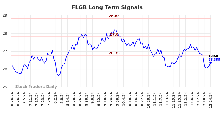 FLGB Long Term Analysis for December 24 2024