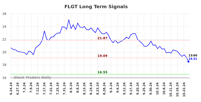 FLGT Long Term Analysis for December 24 2024