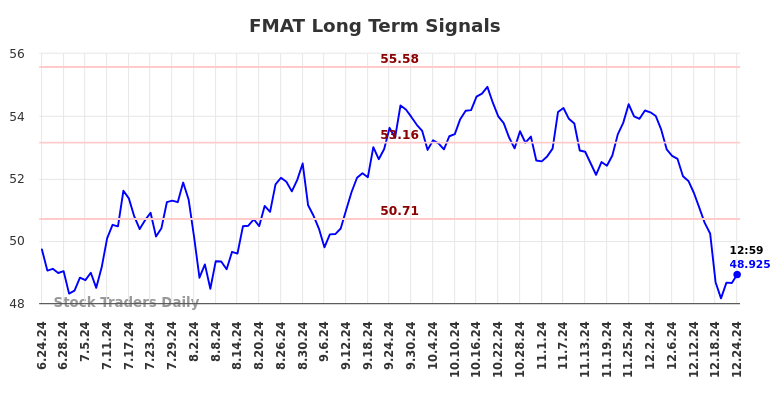 FMAT Long Term Analysis for December 24 2024