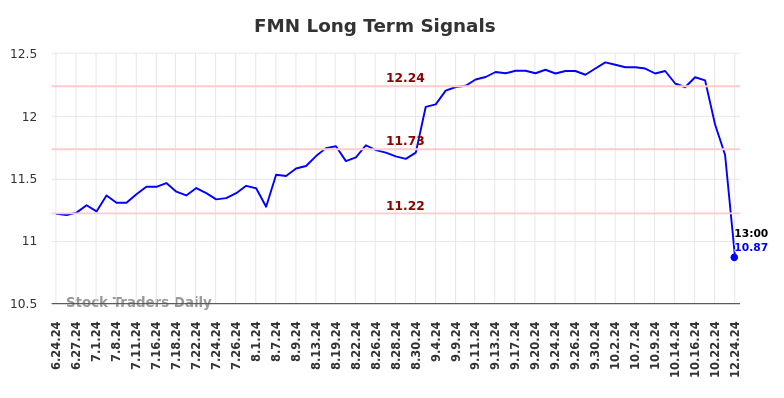 FMN Long Term Analysis for December 24 2024