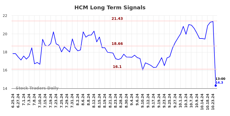 HCM Long Term Analysis for December 25 2024