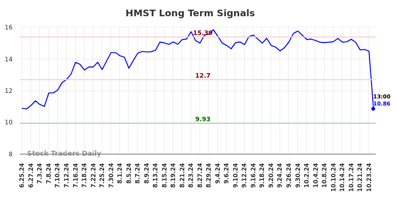 HMST Long Term Analysis for December 25 2024