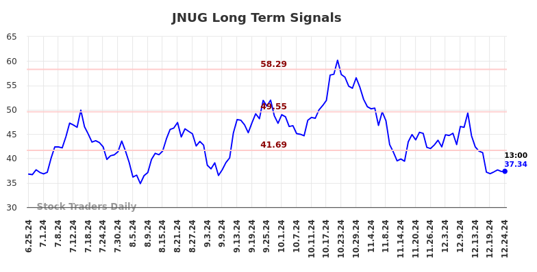 JNUG Long Term Analysis for December 25 2024