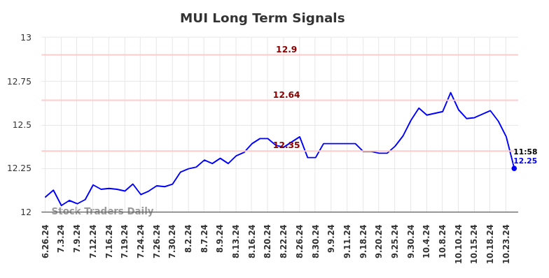 MUI Long Term Analysis for December 26 2024