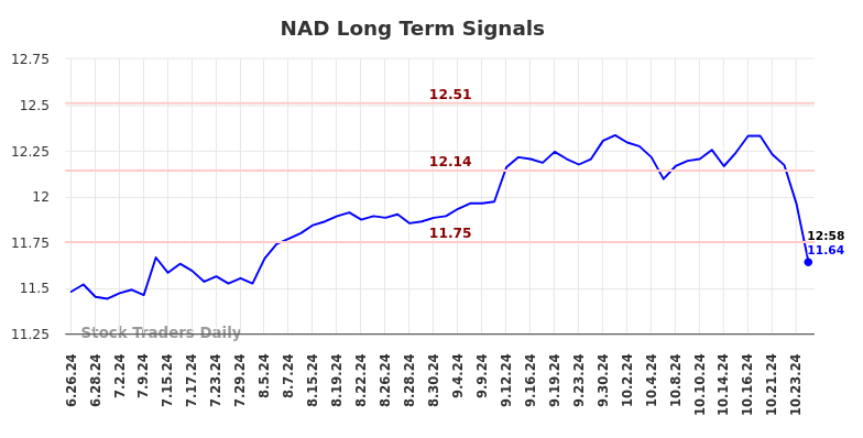 NAD Long Term Analysis for December 26 2024