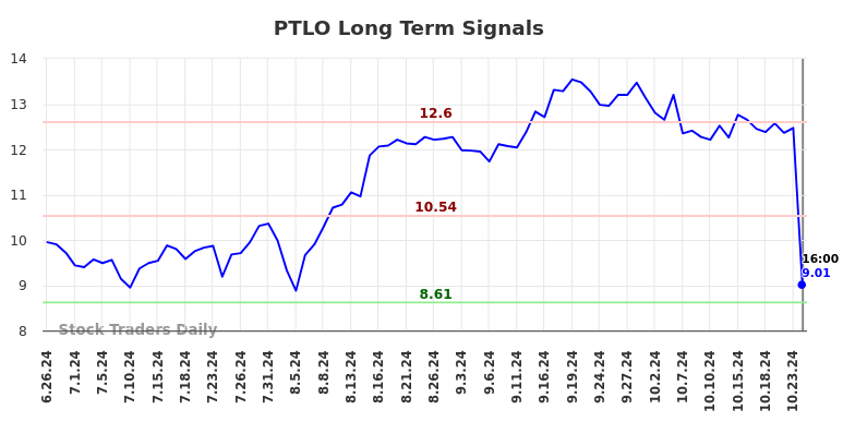 PTLO Long Term Analysis for December 27 2024