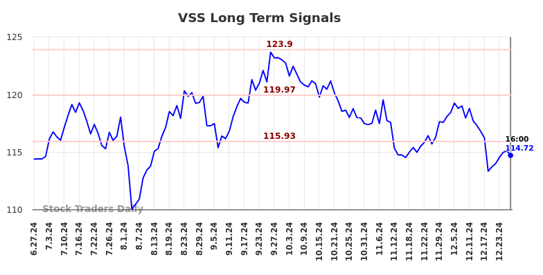 VSS Long Term Analysis for December 28 2024