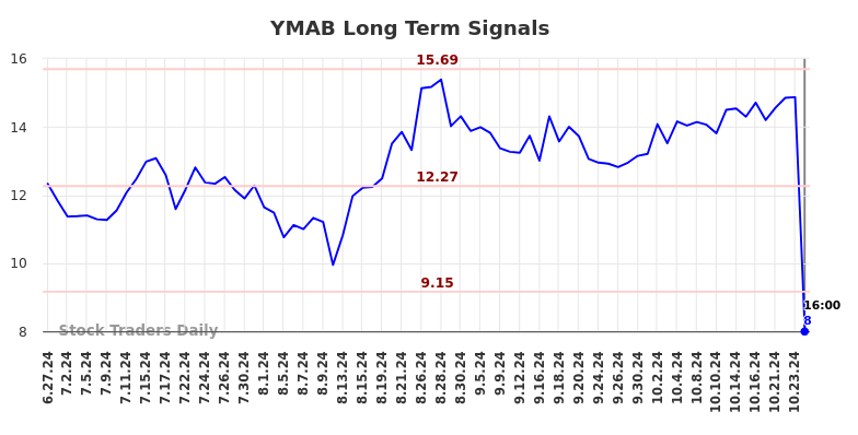 YMAB Long Term Analysis for December 28 2024