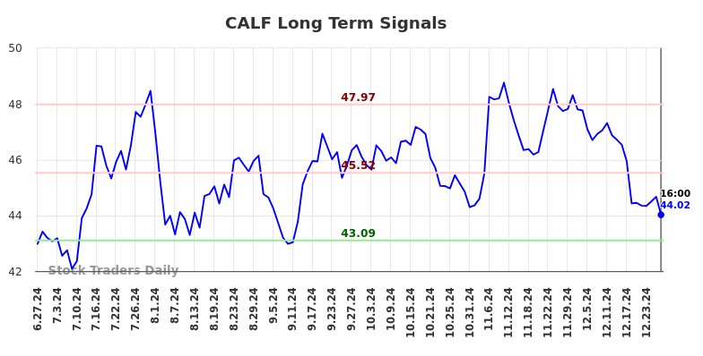 CALF Long Term Analysis for December 28 2024