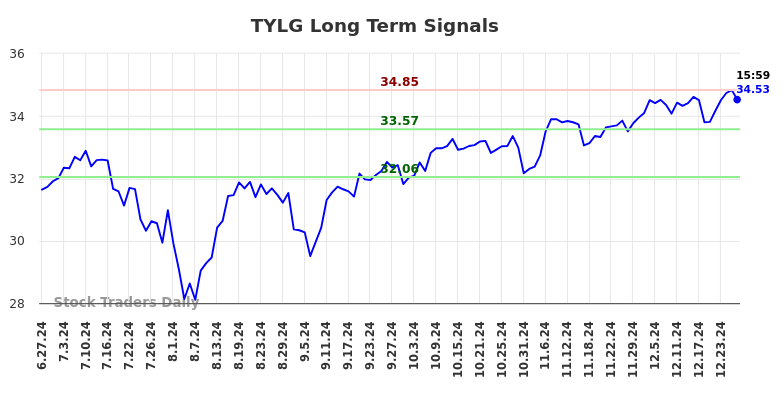 TYLG Long Term Analysis for December 29 2024