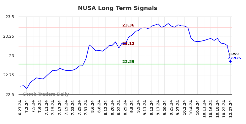 NUSA Long Term Analysis for December 29 2024