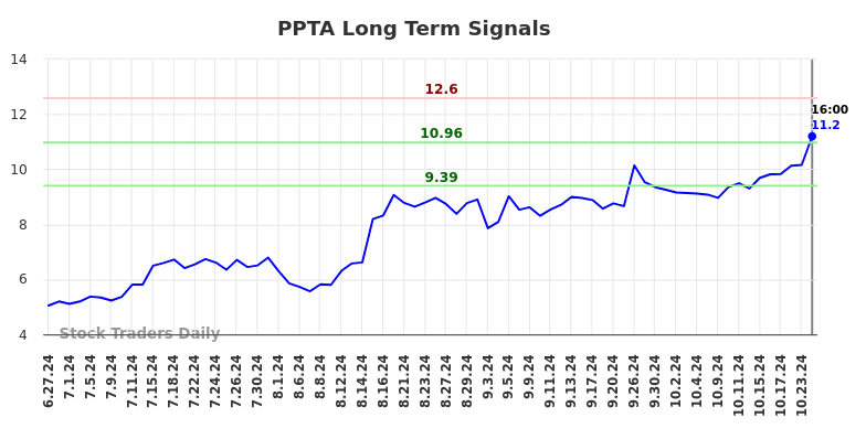 PPTA Long Term Analysis for December 29 2024