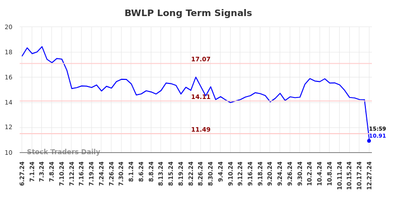 BWLP Long Term Analysis for December 29 2024