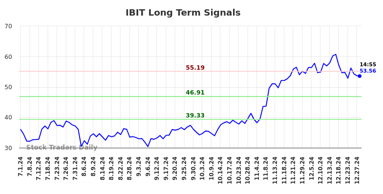 IBIT Long Term Analysis for December 30 2024