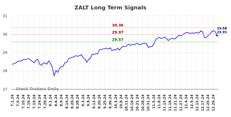 ZALT Long Term Analysis for December 31 2024