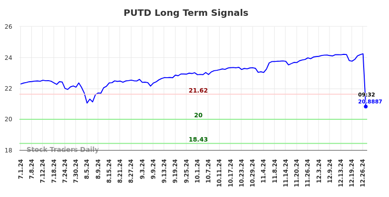 PUTD Long Term Analysis for December 31 2024