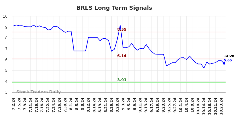 BRLS Long Term Analysis for December 31 2024