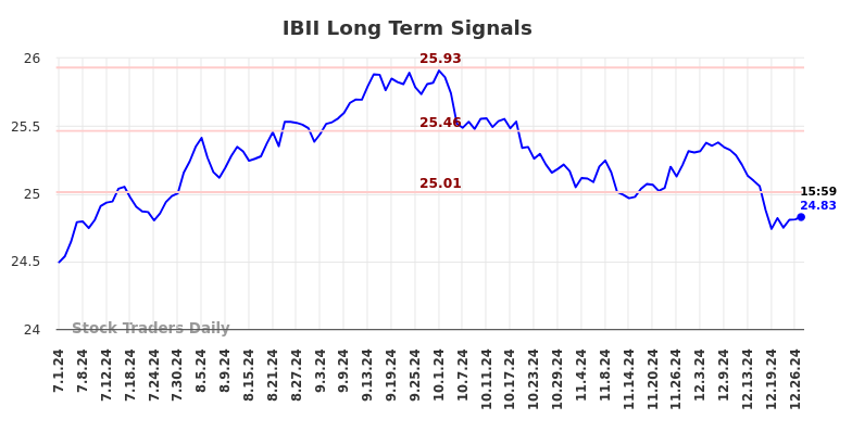 IBII Long Term Analysis for December 31 2024