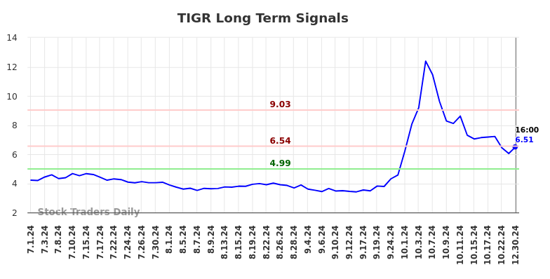 TIGR Long Term Analysis for December 31 2024 TIGR Long Term Analysis for December 31 2024