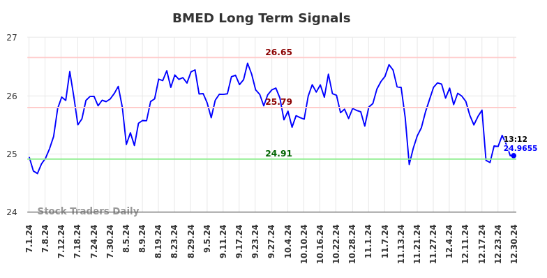 BMED Long Term Analysis for December 31 2024