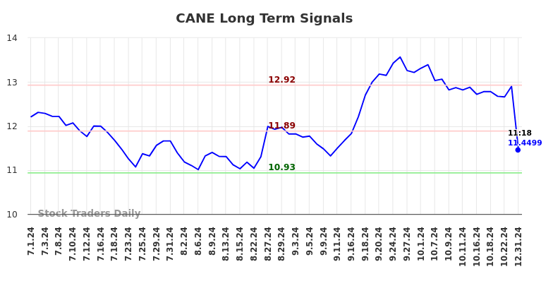 CANE Long Term Analysis for December 31 2024