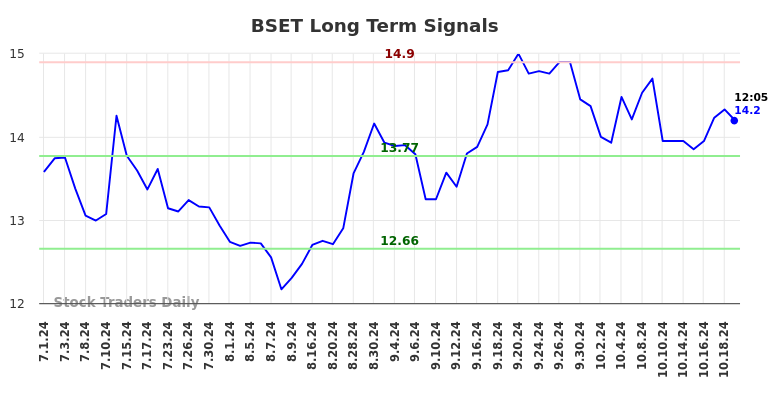 BSET Long Term Analysis for December 31 2024