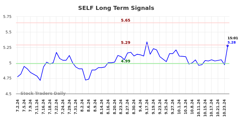 SELF Long Term Analysis for December 31 2024