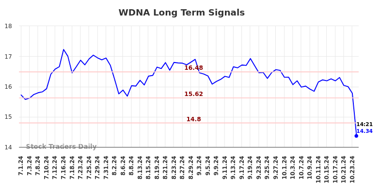 WDNA Long Term Analysis for December 31 2024