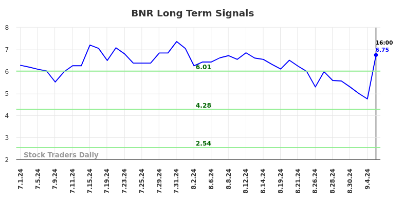 BNR Long Term Analysis for December 31 2024