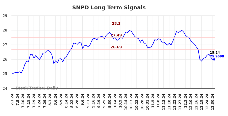 SNPD Long Term Analysis for December 31 2024