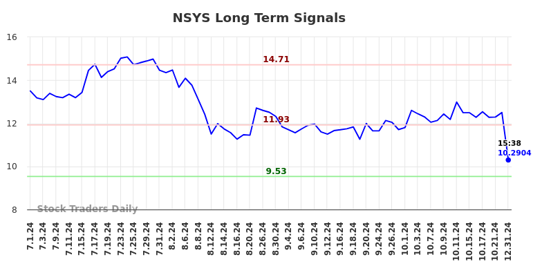 NSYS Long Term Analysis for January 1 2025