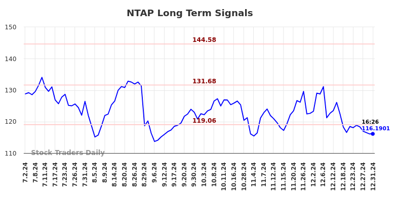 NTAP Long Term Analysis for January 1 2025