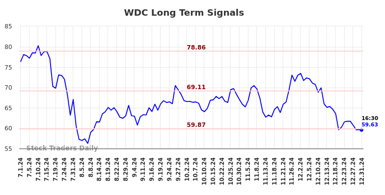 WDC Long Term Analysis for January 1 2025